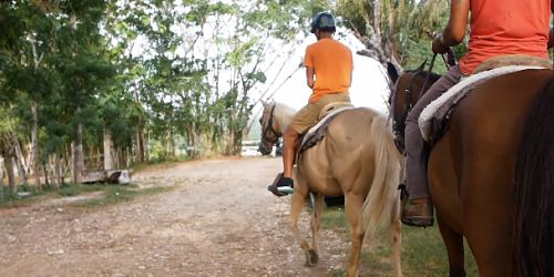 Horseback riding image