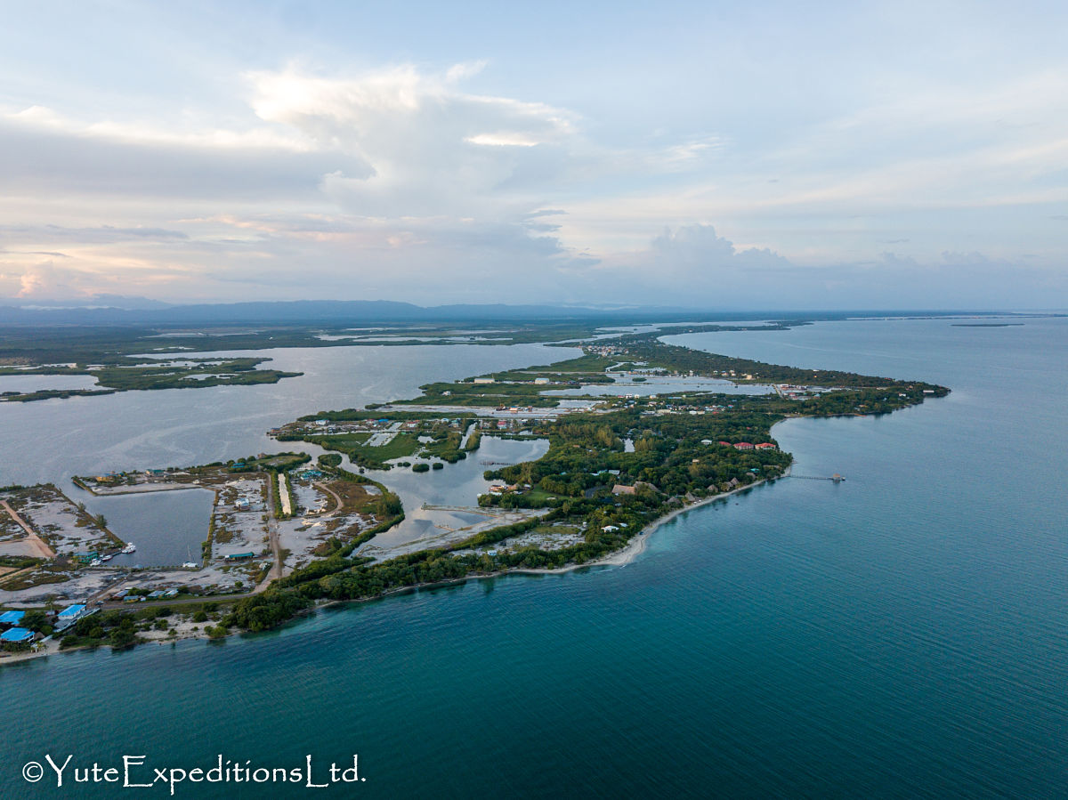 Belize Blog